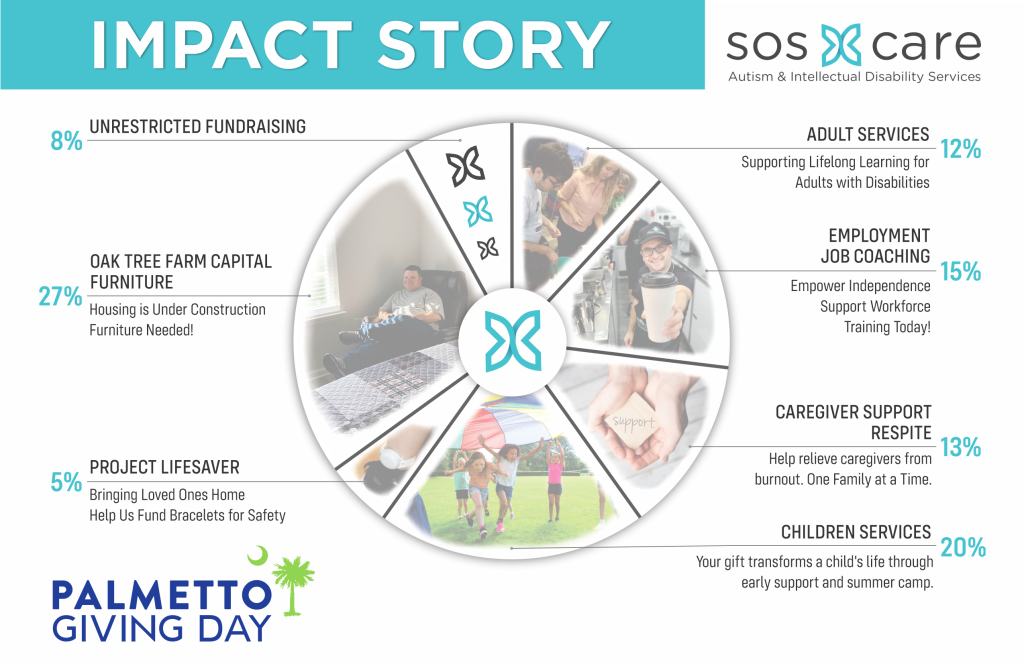 Impact Story Pie Chart.